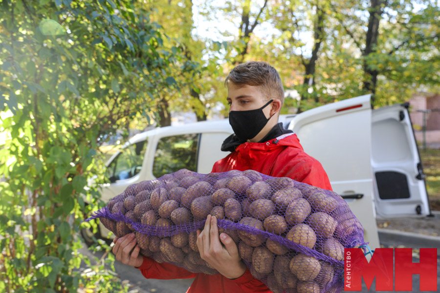«Помогать людям — это всегда здорово». Как волонтеры БРСМ выручают пожилых на сельхозярмарках